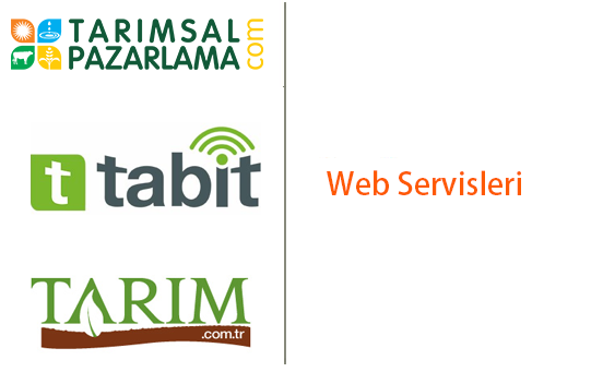 tarim.ws v2